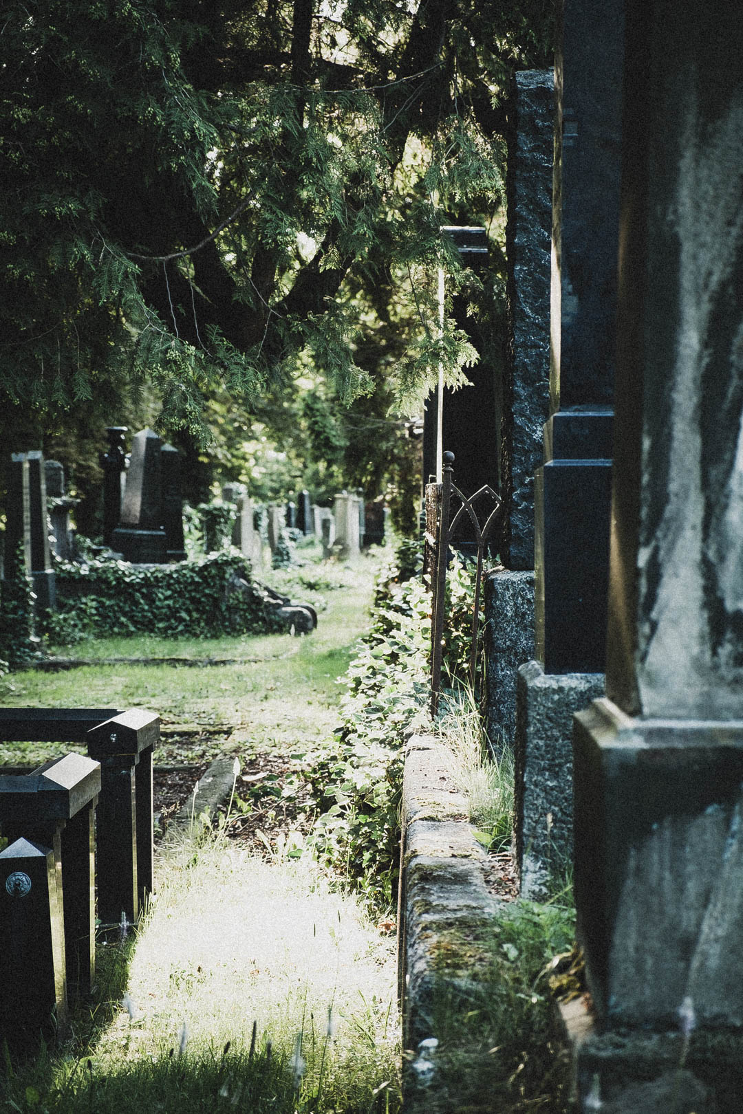 Jüdischer Friedhof Kassel-Bettenhausen
